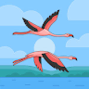 Meet your Posher, Daniela